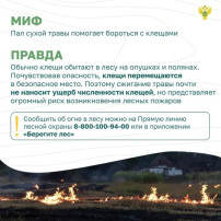 Собрали в карточках самые распространенные заблуждения о лесных пожарах Собрали в карточках самые распространенные заблуждения о лесных пожарах.