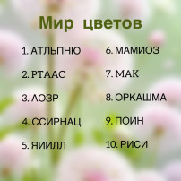 День флориста День флориста.