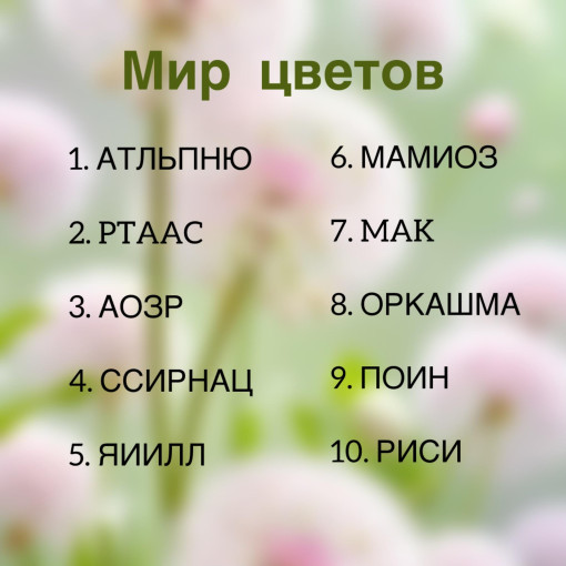 День флориста День флориста.